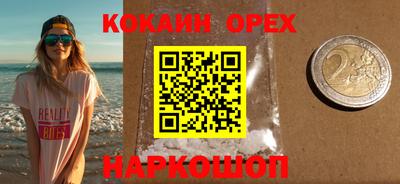 сатива Новодвинск