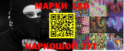 сатива Новодвинск