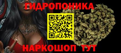 сатива Новодвинск