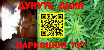 сатива Новодвинск