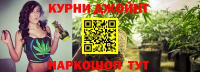 сатива Новодвинск