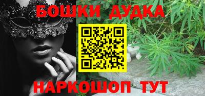 сатива Новодвинск