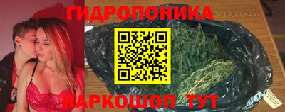 сатива Новодвинск
