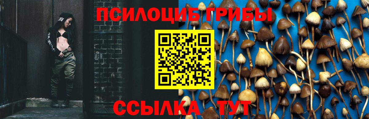 Советская Гавань  Галлюциногенные грибы Cubensis  цена наркотик  Псилоцибиновые грибы мухоморы  Вход с VPN 